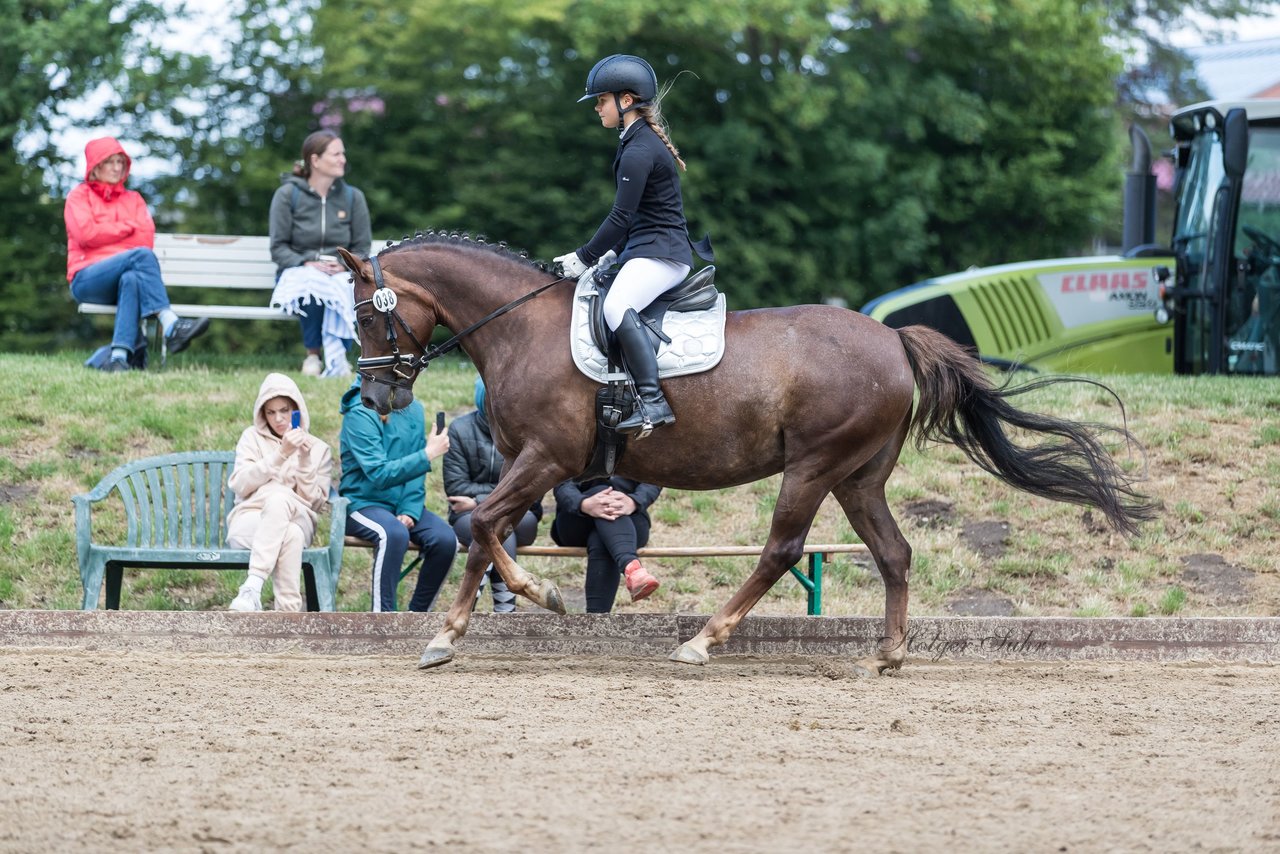 Bild 643 - Pony Akademie Turnier